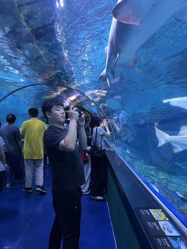 8a205015a6a89feb6acde532b7fbe45b_1787702193_6098.JPG